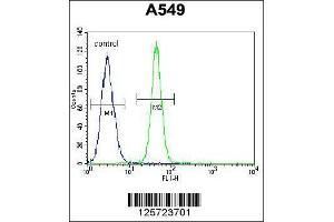 Image no. 1 for anti-F-Box Protein 24 (FBXO24) (AA 118-145) antibody (ABIN654961)