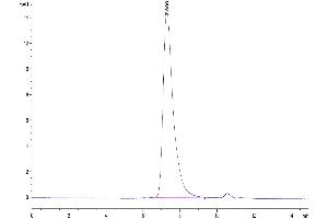 Size-exclusion chromatography-High Pressure Liquid Chromatography (SEC-HPLC) image for Mesothelin (MSLN) protein (His tag,Biotin) (ABIN7275281)