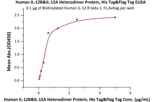 Interleukin 12 (IL12) (AA 23-328) (Active) protein (His tag,DYKDDDDK Tag)