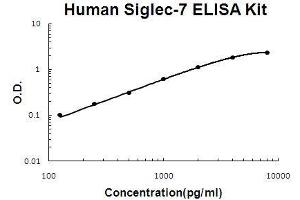 Image no. 1 for Sialic Acid Binding Ig-Like Lectin 7 (SIGLEC7) ELISA Kit (ABIN5510679)