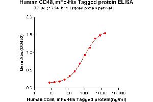 Image no. 1 for CD48 (CD48) protein (mFc Tag,His tag) (ABIN6961089)