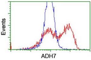 anti-Alcohol Dehydrogenase 7 (Class IV), mu Or sigma Polypeptide (ADH7) antibody