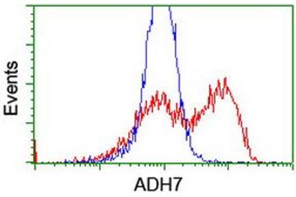 anti-Alcohol Dehydrogenase 7 (Class IV), mu Or sigma Polypeptide (ADH7) antibody