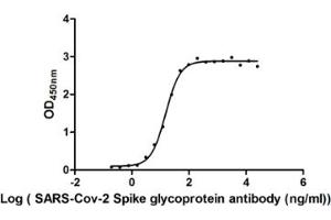 Image no. 2 for anti-SARS-CoV-2 Spike S1 antibody (ABIN6953151)