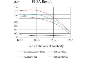 VISTA Antikörper  (AA 33-194)
