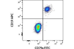 Flow cytometry multicolor surface staining of human lymphocytes using anti-human CD19 (LT19) APC (10 μL reagent / 100 μL of peripheral whole blood) and intracellular staining of human lymphocytes using anti-human CD79a (HM57) FITC (4 μL reagent / 100 μL of peripheral whole blood) antibody.
