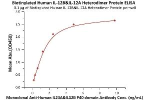 Image no. 1 for Interleukin 12 (IL12) (AA 23-328) (Active) protein (His tag,AVI tag,DYKDDDDK Tag,Biotin) (ABIN6973104)