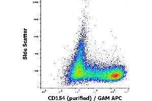 Image no. 1 for anti-CD40 Ligand (CD40LG) antibody (ABIN2749183)