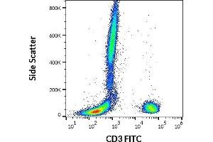 Image no. 1 for anti-CD3 (CD3) antibody (FITC) (ABIN302021)