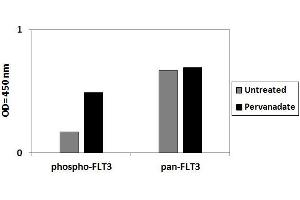 Image no. 3 for Fms-Related tyrosine Kinase 3 (FLT3) ELISA Kit (ABIN6730593)