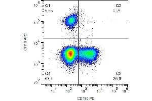 Image no. 2 for anti-CD160 (CD160) antibody (PE) (ABIN1981901)