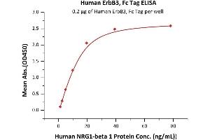 Immobilized Human ErbB3, Fc Tag (ABIN2181037,ABIN2181036) at 2 μg/mL (100 μL/well) can bind Human N 1 Protein with a linear range of 1-20 ng/mL (Routinely tested).