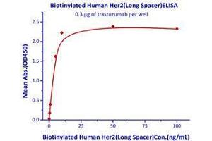 Immobilized trastuzumab at 3 μg/mL (100 μl/well) can bind Biotinylated Human Her2, Superior Sensitivity .