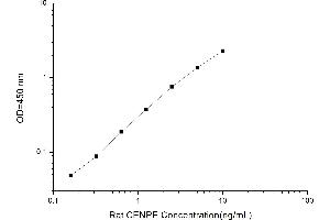 Image no. 1 for Centromere Protein E, 312kDa (CENPE) ELISA Kit (ABIN1114055)