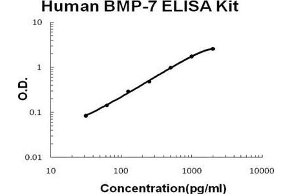 Bone Morphogenetic Protein 7 (BMP7) ELISA Kit