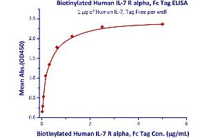 Interleukin 7 Receptor (IL7R) (AA 21-236) (Active) protein (Fc Tag,AVI tag,Biotin)