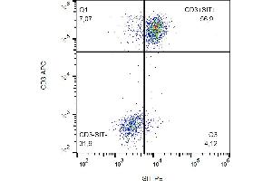 Flow cytometry analysis (intracellular staining) of human peripheral blood using anti-SIT (clone SIT-01) PE.