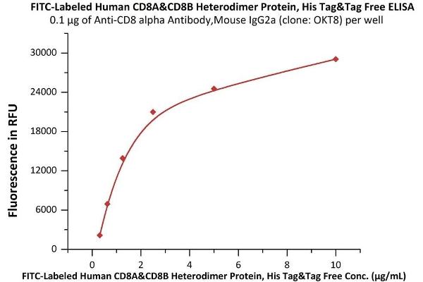 CD8 Protein (CD8) (AA 22-182) (His tag,FITC)