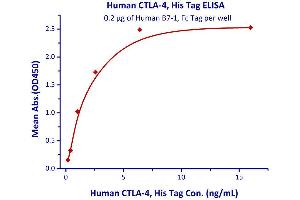 Image no. 3 for Cytotoxic T-Lymphocyte-Associated Protein 4 (CTLA4) (AA 37-162) (Active) protein (His tag) (ABIN2487344)