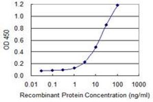 ADAM2 antibody  (AA 376-475)