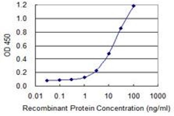 ADAM2 antibody  (AA 376-475)