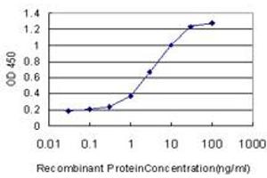 Image no. 1 for anti-Aryl Hydrocarbon Receptor Nuclear Translocator (ARNT) (AA 1-110) antibody (ABIN559953)