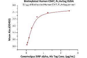 Image no. 1 for CD47 (CD47) (AA 19-139) (Active) protein (Fc Tag,AVI tag,Biotin) (ABIN2870532)