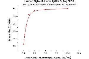 Image no. 1 for CD33 (CD33) (AA 18-259) (Active) protein (Fc Tag) (ABIN6253597)