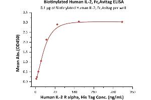 ELISA image for Interleukin 2 (IL2) (AA 21-153) (Active) protein (Fc Tag,AVI tag,Biotin) (ABIN6731255)