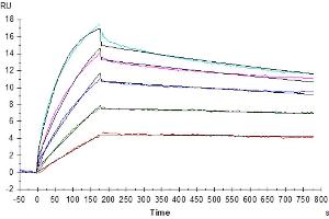 Surface Plasmon Resonance (SPR) image for Claudin 18.2 (Active) protein-VLP (ABIN7448160)