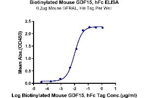 ELISA image for Growth Differentiation Factor 15 (GDF15) protein (Fc Tag,Biotin) (ABIN7274730)