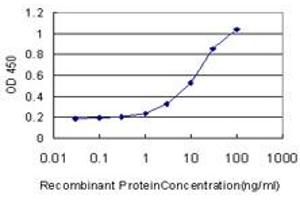 Detection limit for recombinant GST tagged XRCC6BP1 is approximately 1ng/ml as a capture antibody.