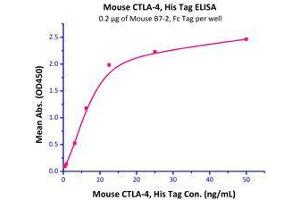 Immobilized Mouse B7-2, Fc Tag (Cat# CD6-M5251) at 5 μg/mL (100 µl/well),can bind Mouse CTLA-4, His Tag (Cat# CT4-M52H5) with a linear range of 0.