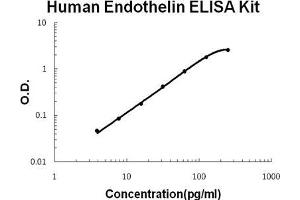 Human Endothelin PicoKine ELISA Kit standard curve