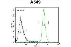 anti-WAP Four-Disulfide Core Domain 12 (WFDC12) (AA 73-102), (C-Term) antibody