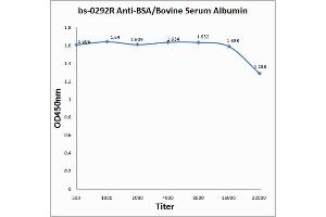 Image no. 1 for anti-Bovine Serum Albumin (BSA) antibody (ABIN727368)