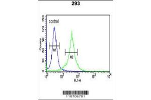 Flow Cytometry (FACS) image for anti-Dermcidin (DCD) antibody (ABIN2158491)