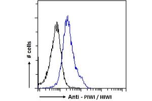 Image no. 1 for anti-Piwi-Like 1 (PIWIL1) (Internal Region) antibody (ABIN190916)
