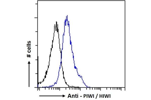 anti-Piwi-Like 1 (PIWIL1) (Internal Region) antibody
