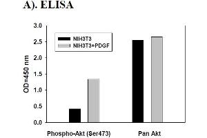 Image no. 2 for V-Akt Murine Thymoma Viral Oncogene Homolog 1 (AKT1) ELISA Kit (ABIN625220)