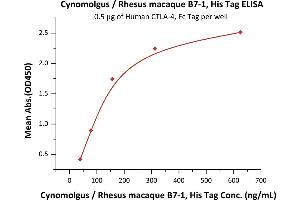 Immobilized Human CTLA-4, Fc Tag (ABIN2180932,ABIN2180931) at 5 μg/mL (100 μL/well) can bind Cynomolgus / Rhesus macaque B7-1, His Tag (Hied) (ABIN2180840,ABIN2180839) with a linear range of 10-156 ng/mL (Routinely tested).