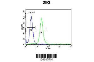 Image no. 3 for anti-Limb Region 1 Like (LMBR1L) (AA 462-489), (C-Term) antibody (ABIN653751)