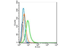 RSC96 cells probed with	PCDH20 Polyclonal Antibody, Unconjugated  at 1:100 for 30 minutes followed by incubation with a conjugated secondary (PE Conjugated) (green) for 30 minutes compared to control cells (blue), secondary only (light blue) and isotype control (orange).