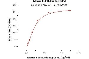 Immobilized Mouse EGF, Fc Tag (ABIN6731280,ABIN6809909) at 2 μg/mL (100 μL/well) can bind Mouse EGF R, His Tag (ABIN2181005,ABIN2181004) with a linear range of 0.
