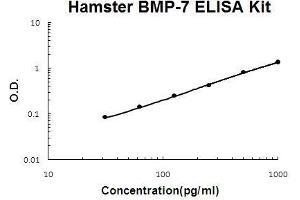 Image no. 1 for Bone Morphogenetic Protein 7 (BMP7) ELISA Kit (ABIN5510639)