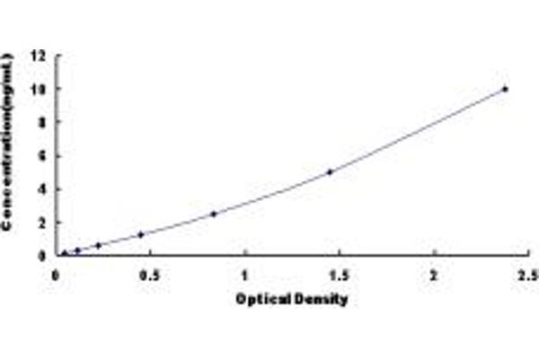 QDPR ELISA Kit