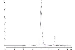 The purity of Mouse OX40/TNFRSF4/CD134 Protein is greater than 92 % as determined by SEC-HPLC.