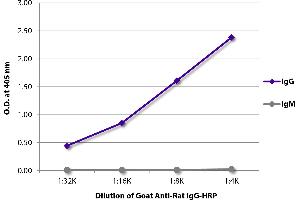 Anti Rat Secondary Antibodies Www Antibodies Online Com