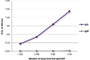 Image no. 1 for Goat anti-Rat IgG (Heavy Chain) antibody (HRP) (ABIN376279)
