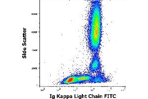 Image no. 1 for anti-kappa Light Chain antibody (FITC) (ABIN192417)